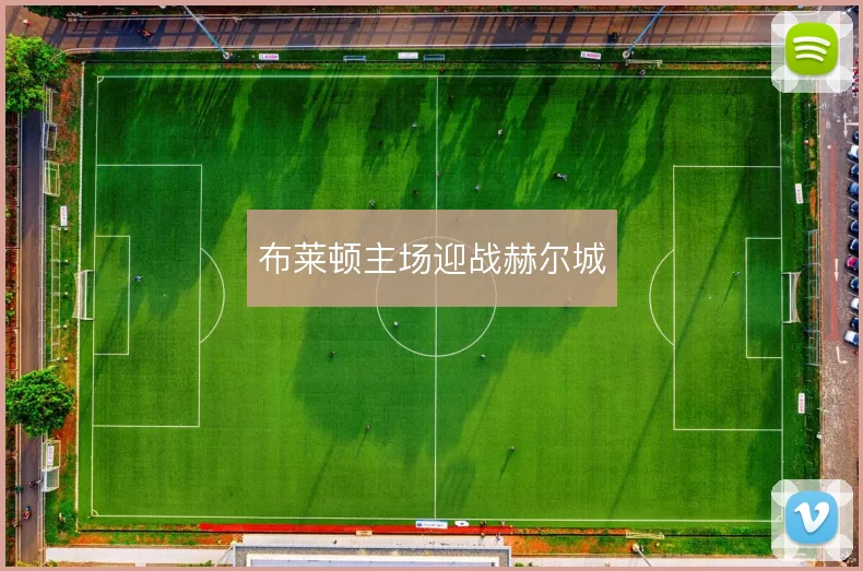 布莱顿主场迎战赫尔城